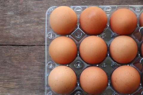 Top view fresh Egg in plastic box good ingredient uncooked from farm good for Stock-Fotos