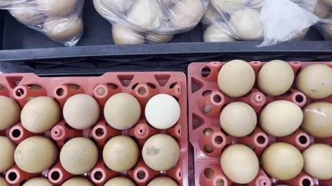 Top View of Fresh Eggs Arranged on Supermarket Display Video Stock Footage 340943071
