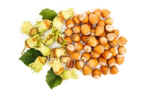 Top view of fresh hazelnut Stock Photos