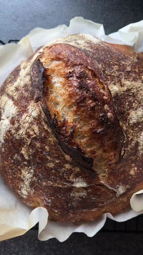 Top view of fresh home-baked sourdough bread on kitchen counter Stock Footage 276621091