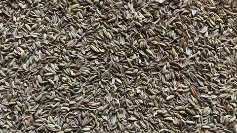 Top view of fresh organic cumin seeds (Jeera) served on a white plate Stockbeeldmateriaal 328441248