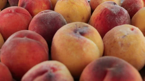 Top View of Fresh Peaches in Storage Box. Handheld Shot. Video stock 284839201