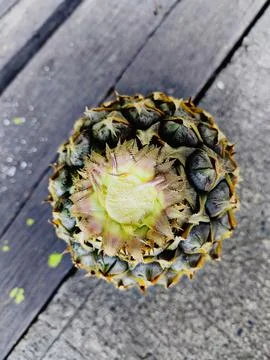 Top View of a Fresh Pineapple with Trimmed Crown Stock Photos