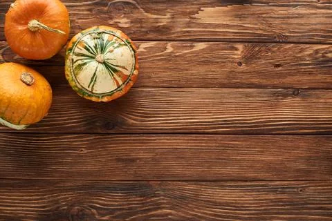 Top view fresh pumpkins brown Stock Photos
