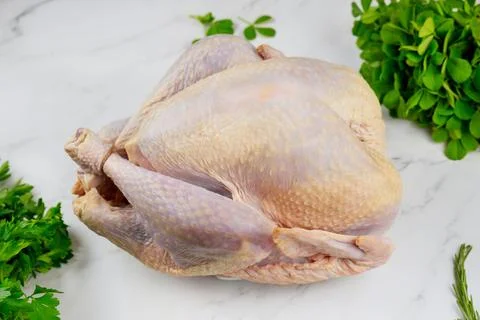 Top view of fresh raw turkey on white surface. Stock Photos