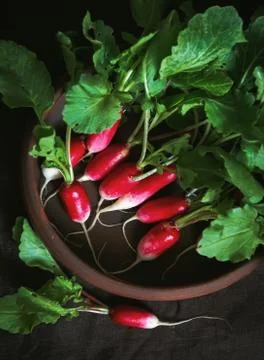 Top view fresh red radish on old wooden table. Growing organic vegetables. A Stock Photos