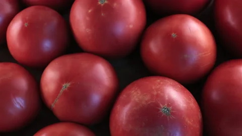 Top View of Fresh Red Tomatoes. Slider Shot. Stock Footage 296738437