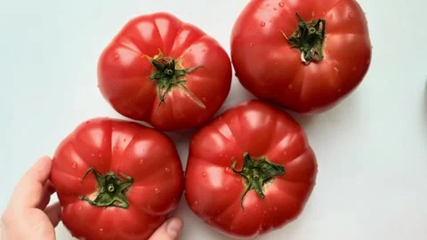 Top view of fresh red tomatoes arrangement isolated on white background. 스톡 동영상 335188933