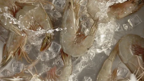Top view fresh shrimp falling on table with ice and water. Slow motion video Stock Footage 116093936