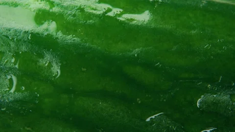 Top view of fresh sliced cucumber rotation. 4K Macro Stock Footage 155277195