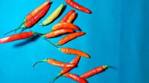 Top view of fresh spicy red chilies spread on cyan surface. Stock Footage 325613775