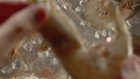 Top view fresh tiger prawn drops on table with ice and water. Slow motion video Stock Footage 116094043