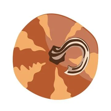 Top view of fresh whole orange pumpkin, vector illustration isolated on whi.. Stock Illustration