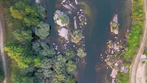 Top View Of Freshwater River Flowing With Vegetation In Nature Park Stock Footage 246745131