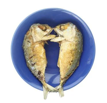 Top view of fried mackerel fish on blue dish isolted on white Stock Photos