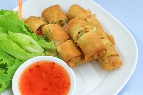 Top view of Fried spring rolls on dish. Vegetarian food Stock Photos