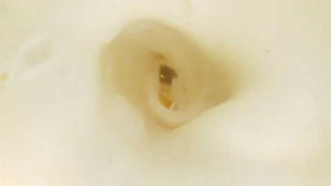 Top View of Fruit Smoothie Blending in Blender Vídeo Stock 315068253