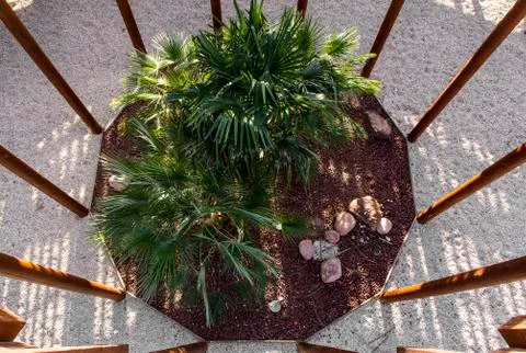 Top view of a garden inside a structure Stock Photos