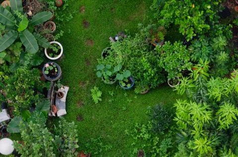 Top view garden Foto stock