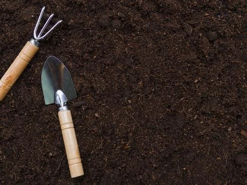 Top view gardening tools. High quality and resolution beautiful photo concept Stock Photos
