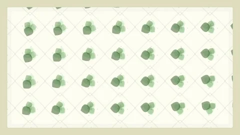 Top View of Geometric Pattern of Green Trees in a Grid, Nature Aerial Backg.. Stock Footage 346660417