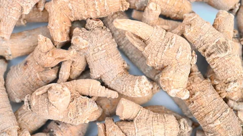 Top view ginseng rotating horizontal composition Stock Footage 160948085