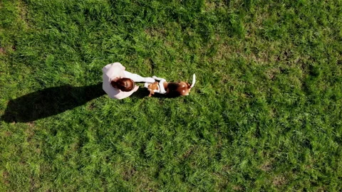 Top view Girl teach command with dog beagle at grass outdoors in a green park Video stock 164285342