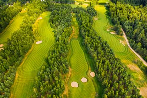 Top view of the golf course located in a wooded area Stock Photos