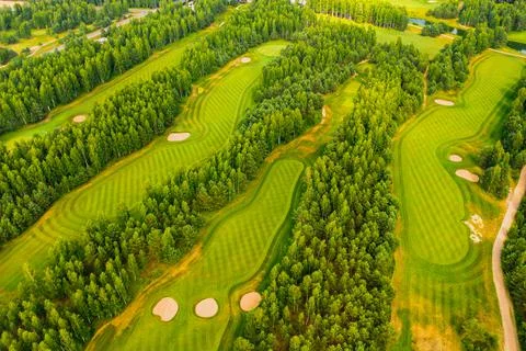 Top view of the golf course located in a wooded area Fotos Stock