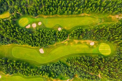 Top view of the golf course located in a wooded area Stock Photos