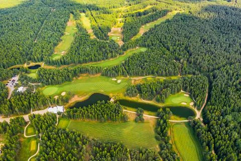 Top view of the golf course located in a wooded area Fotos de archivo
