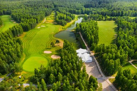 Top view of the golf course located in a wooded area Stock Photos