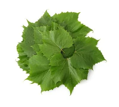 Top view of grape leaves stack Stock Photos