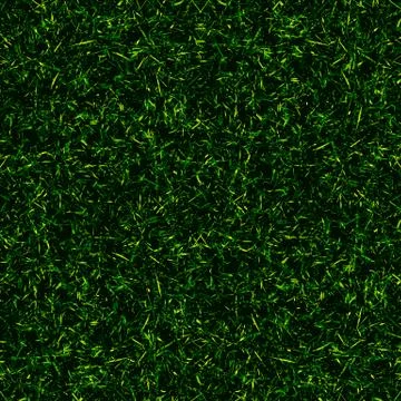 Top view grass background Stock Illustration
