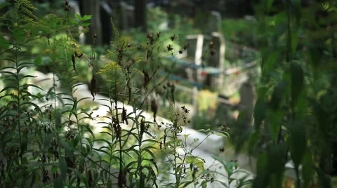 Top view of graveyard with crosses and headstones Video stock 67953290