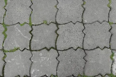 Top view of Gray interlocking paving stone driveway. 写真素材