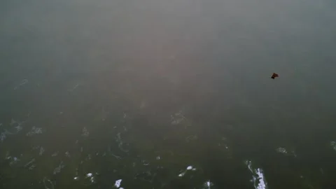 Top view gray water smooth surface of natural pond or sea Stock Footage 145842204