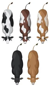 Top View of Grazing Cows Stock Illustration