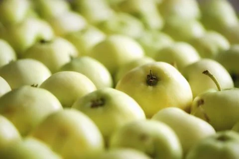 Top view of green apple. Background, concept, copy space, macro Stock Photos