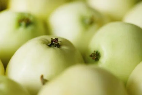 Top view of green apple. Background, concept, copy space, macro Stock Photos