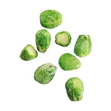 A top view of green cabbaged on a white surface, 3d rendering 스톡 일러스트