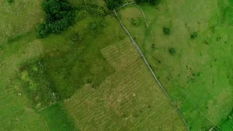 Top view to green field, valley with green grass Stock Footage 314897687