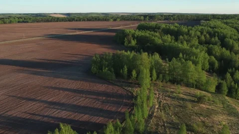 Top view of green fields and forests. A bird flies over a lake in the forest.  Stock Footage 274206137
