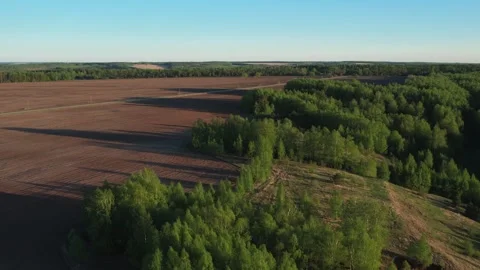 Top view of green fields and forests. A bird flies over a lake in the forest.  Stock Footage 274206144