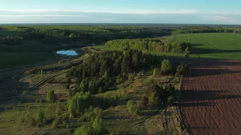 Top view of green fields and forests. A bird flies over a lake in the forest.  Stock Footage 274206193
