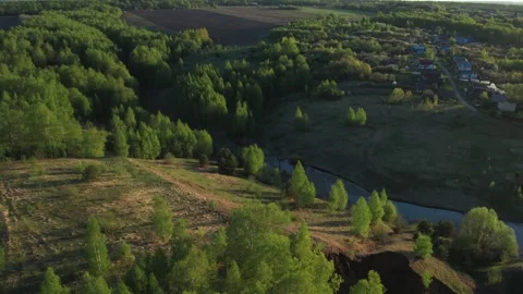 Top view of green fields and forests. A bird flies over a lake in the forest.  Stock Footage 274206205