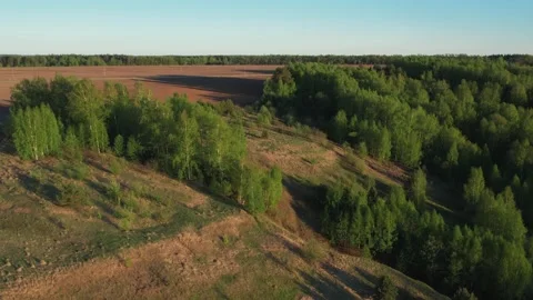 Top view of green fields and forests. A bird flies over a lake in the forest. Stock Footage 274206216