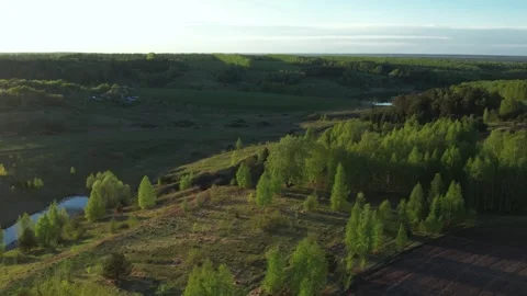 Top view of green fields and forests. A bird flies over a lake in the forest. Stock Footage 274206230