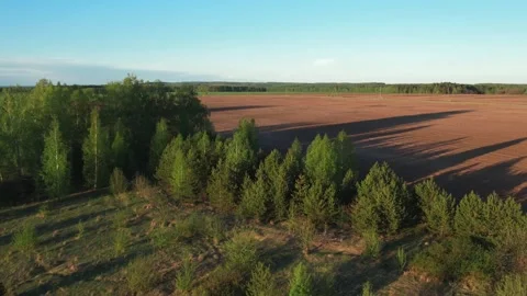 Top view of green fields and forests. A bird flies over a lake in the forest.  Stock Footage 274206237