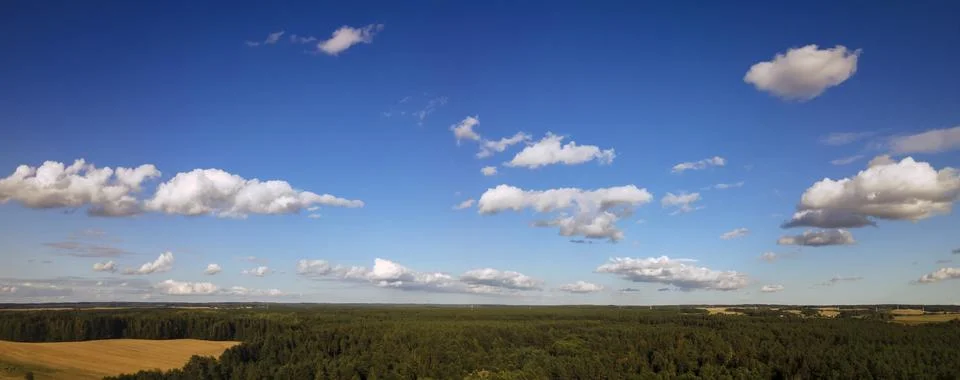 Top view of green fields, forest and cloudy blue sky in summer. Abstract land Foto stock
